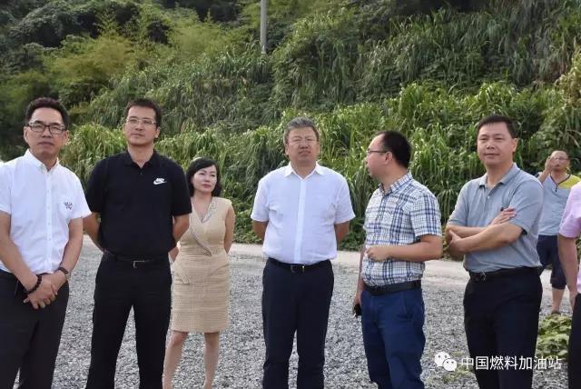 中國燃料集團(tuán)與龍港洽談能源合作項目